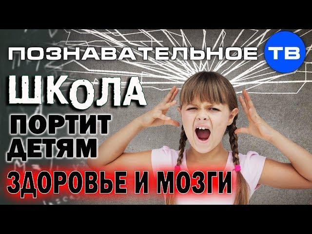 Школа портит детям здоровье и мозги (Познавательное ТВ, Владимир Базарный)