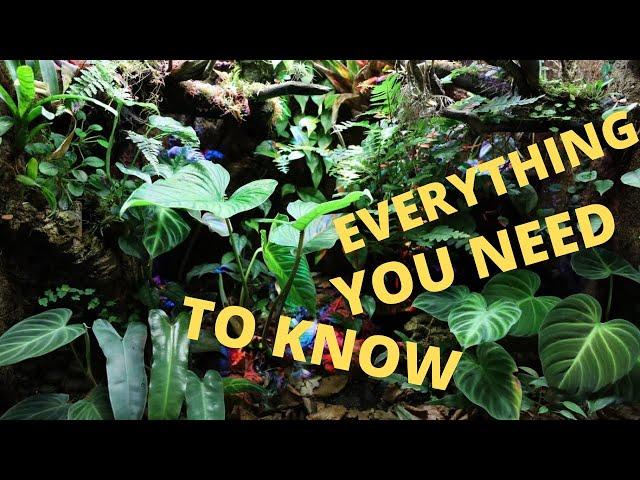 How to PLANT a DART FROG VIVARIUM