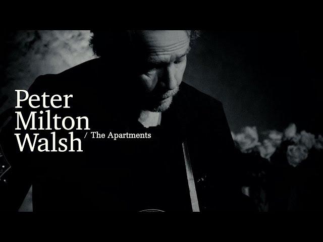 PETER MILTON WALSH / THE APARTMENTS - Live at Les Vinzelles ('FD' live film)