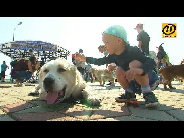 Наши новости ОНТ: пожар в Одессе | зоозабег | ливни в Сочи | Финал "Танкового биатлона"