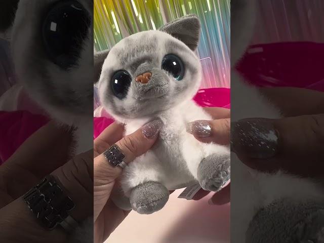 Pets Alive Smitten Kitten #kitten #plush #asmr