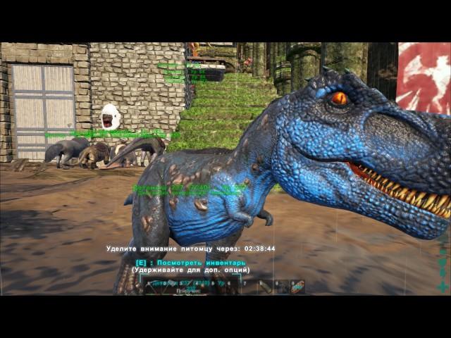 ARK  Survival Evolved. Выращиваем Рексов.