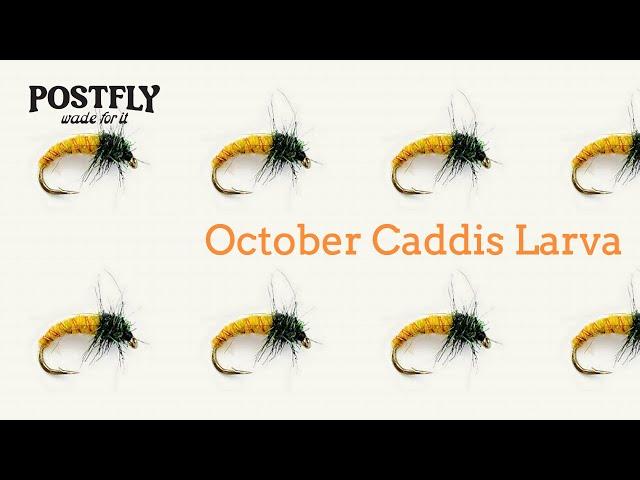 October Caddis Larva - Epic Fall Hatch Pattern!