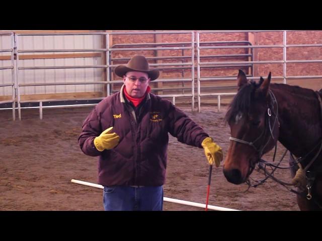 Developing Smooth Transitions And Guiding Your Horse