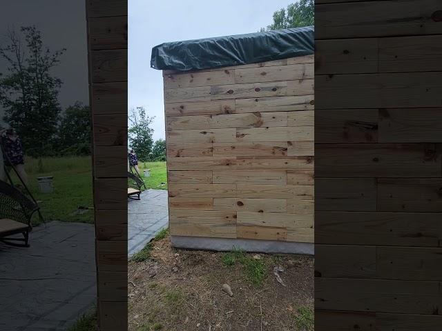 #shack got shingles #ARH Hali is the #turtle saving girl #forage #unique #homemade