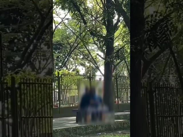 Remaja Usia Sekolah, Mesum di Taman #viral #fyp