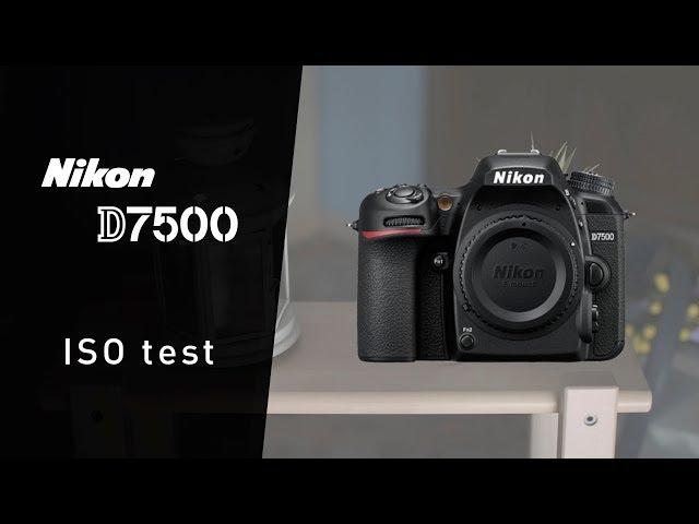 NIKON D7500 video iso test