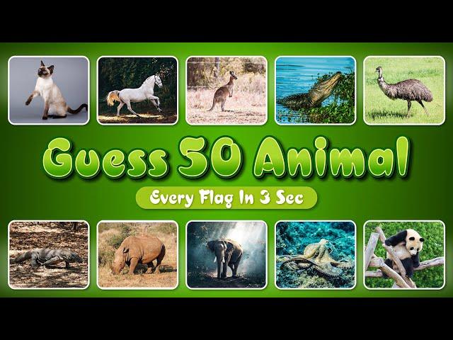 Guess the Animals in 3 seconds | 50 Animals | Guess the Animals | Quiz | M Graphics