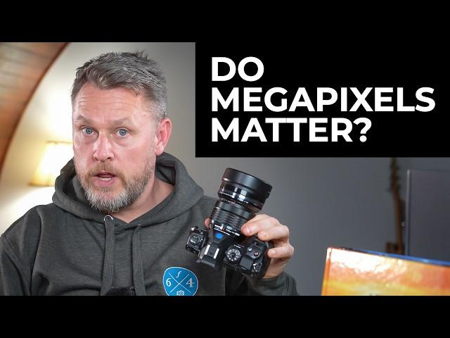 Do Megapixels Matter?