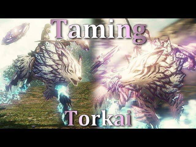 Riders of Icarus - Taming Torkai