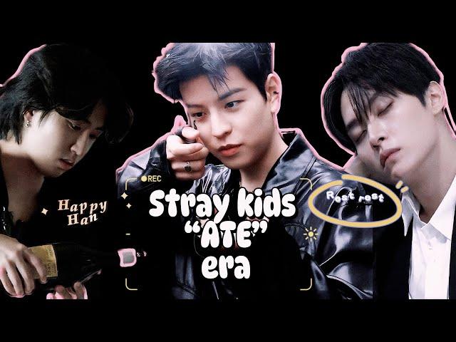 Things that stray kids did during ATE era