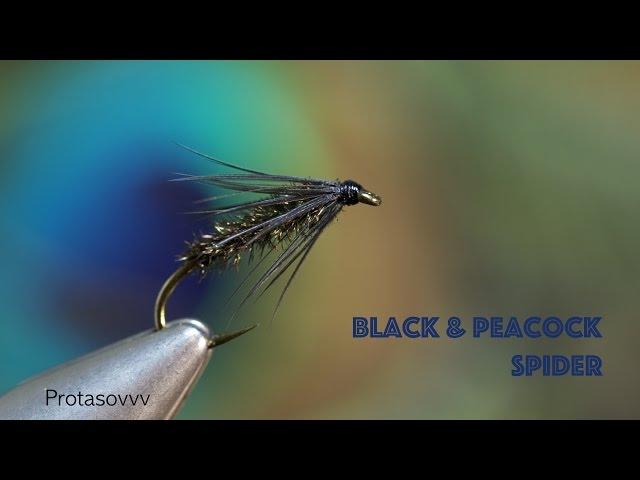 Fly Tying - Black and Peacock Spider