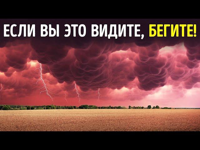 Странные природные явления, которые вас напугают