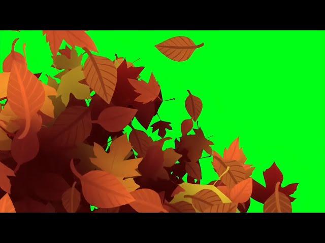 Autumn leaves transition green screen | Leaves transition green screen