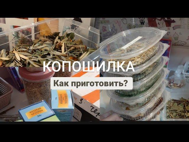 Копошилка для попугаев