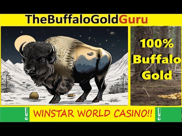 BUFFALO GOLD slot BONUS ROUNDS -  DID it PAY OUT?