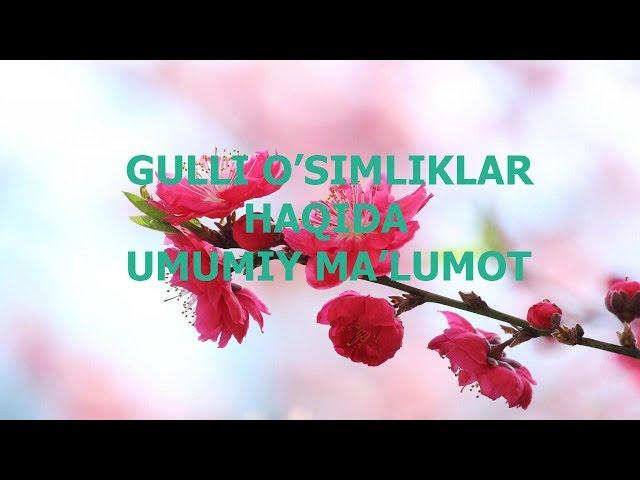 Gulli O'simliklar Haqida Umumiy Ma'lumot.