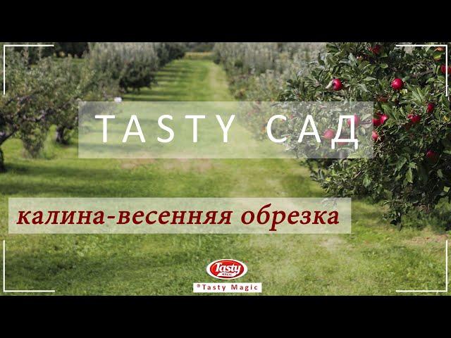 "Tasty сад"  Калина весенняя обрезка