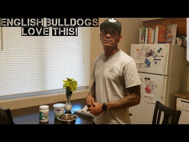 ENGLISH BULLDOG Absolutely Loves Eating Yogurt