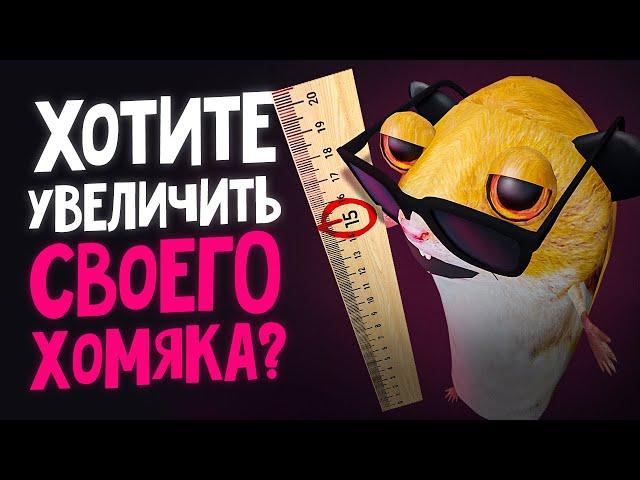 ХОМЯК МИША СТАЛ XXL | ПЕРВЫЙ СЕЗОН