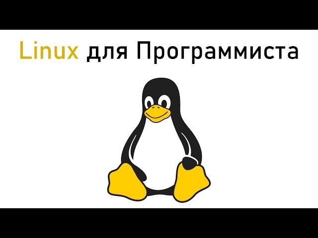 Линукс для Программиста | Что такое Linux и для чего он нужен?