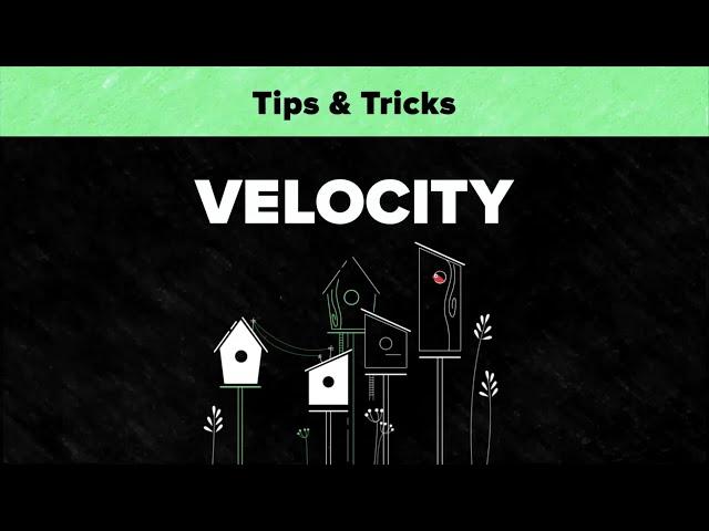 After Effects Tips & Tricks - Velocity