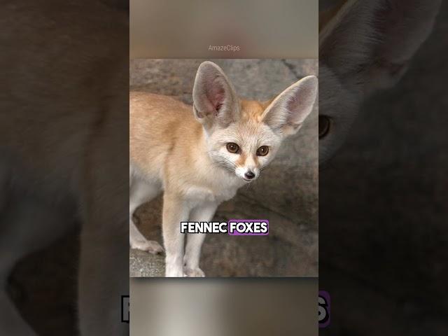 fascinating animal facts that will leave you speechless!