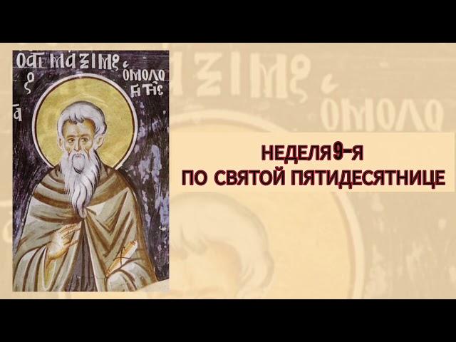 Хождение по водам и святой Максим Имповедник. Неделя 9-я по Св. Пятидесятнице 2024 г. Еп. Игнатий