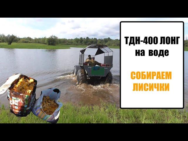 #ТДН 400 ЛОНГ НА ВОДЕ. СОБИРАЕМ #ЛИСИЧКИ. #ДЕНЬГИ НА ГРИБАХ.