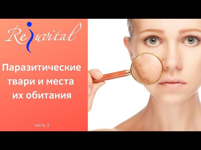 Паразитические твари и места их обитания (часть 2)