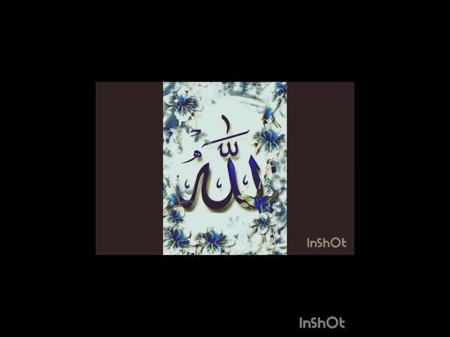 mdina ki kiran guys allahu akbar guys ️ please like subscribe