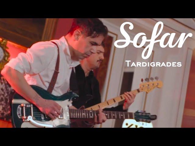 Tardigrades - Dream Surfer | Sofar Ankara