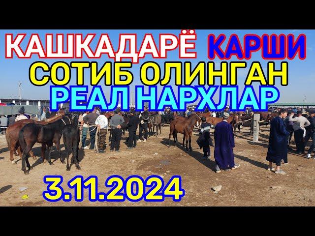 3.11.2024 СОТИБ ОЛИНГАН РЕАЛ НАРХЛАР КАРШИ КАРВОН МОЛ БОЗОРИДА