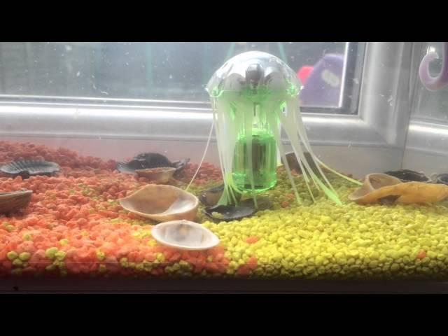 HEXBUG AquaBot™ Jellyfish
