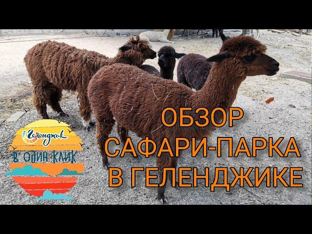 #Геленджик в 1 клик. Сафари парк 2020. Канатная дорога. Террариум. Обзор, цены.