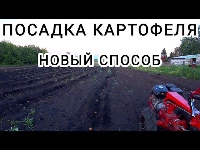 ПОСАДКА КАРТОШКИ