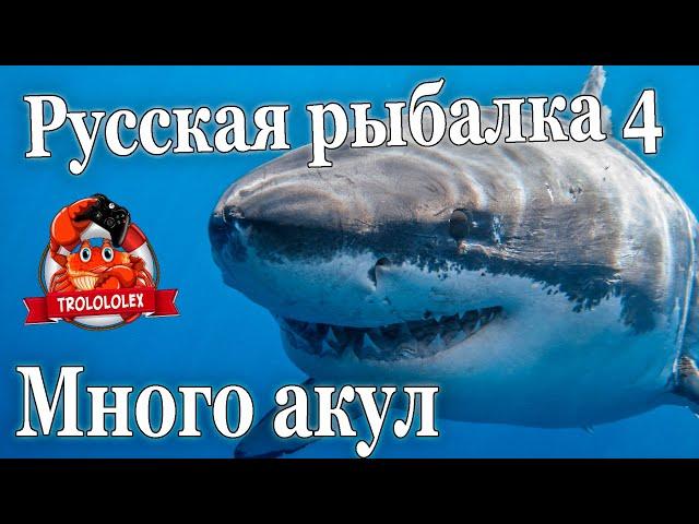 Русская рыбалка 4 Выловил стаю акул. ФАРМ на Норвежском море