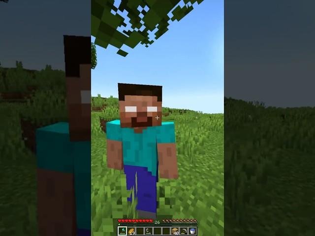 Minecraft moment