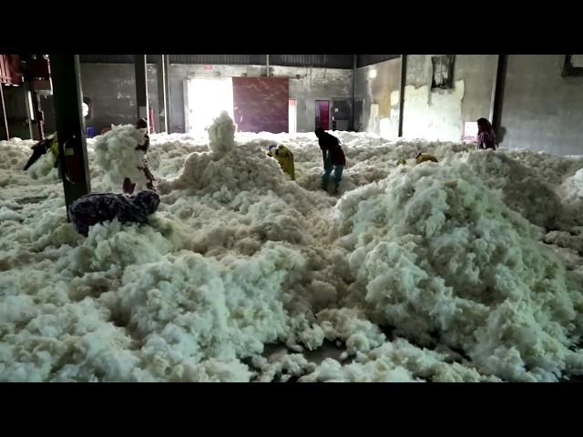 Cotton, the dark side of white gold