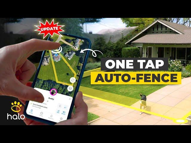 New AUTO-FENCE Feature to Keep Your Dog Safe | Halo Collar GPS Virtual Fence