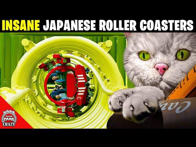 Top 10 INSANE Japanese Roller Coasters 