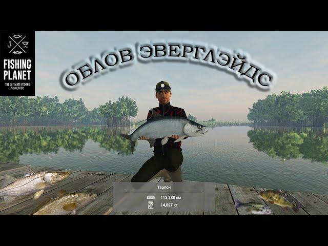 Fishing Planet. Облов Эверглэйдс