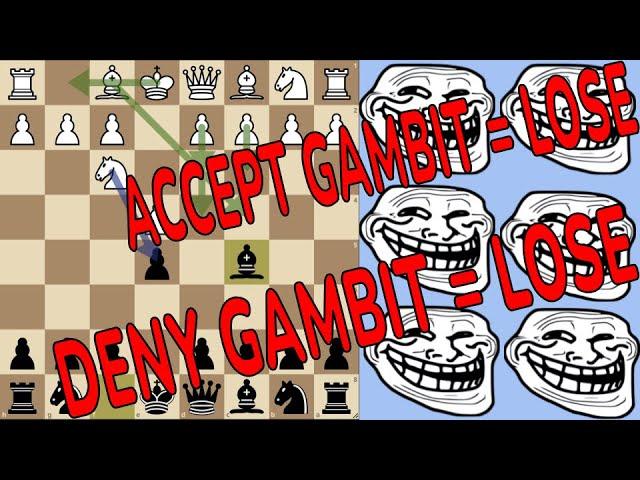 Destroying Busch-Gass Gambit Deniers: FULL REPERTOIRE