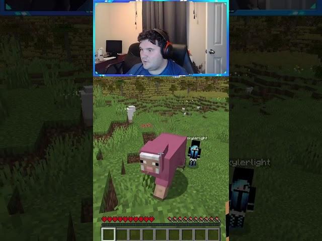 We Instantly Found A Pink Sheep (RARE) in Minecraft! #minecraft #shorts