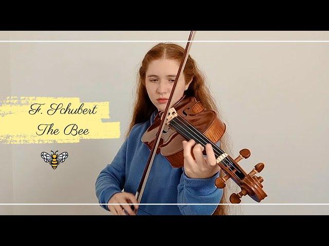 The Bee Viola Arr. | F. Schubert | Mercedes Graz