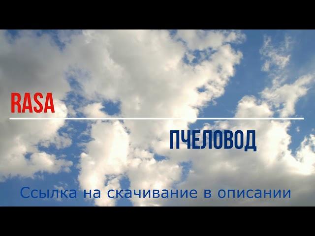 RASA - Пчеловод (минусовка, для караоке, instrumental)