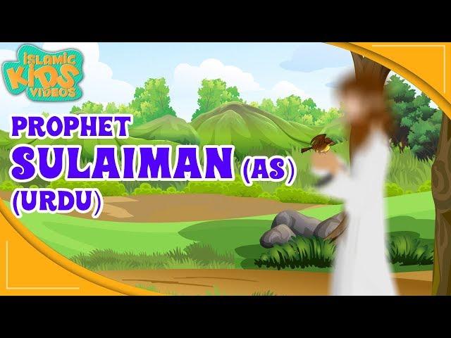 Prophet Stories In Urdu | Prophet Sulaiman (AS) Story | Quran Stories In Urdu | Urdu Cartoons