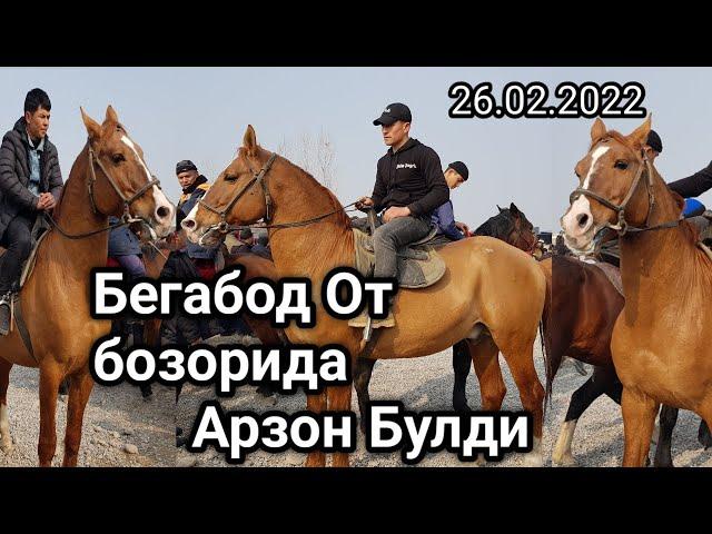 26.02.2022 БЕГАБОД ОТ БОЗОРИДА КАТТА ОТЛАР НАРХЛАРИ.#ОТЛАР#УЛОК#КОПКАРИ(Mus Tv)(Sardor Uz)(Fozil Uz)