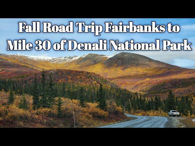 Fall Road Trip Fairbanks to Denali 2022