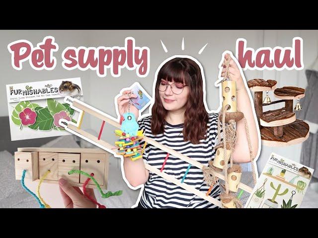 I bought my rats and mice more toys | Pet supply haul